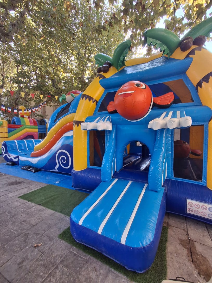 Chateau poisson clown